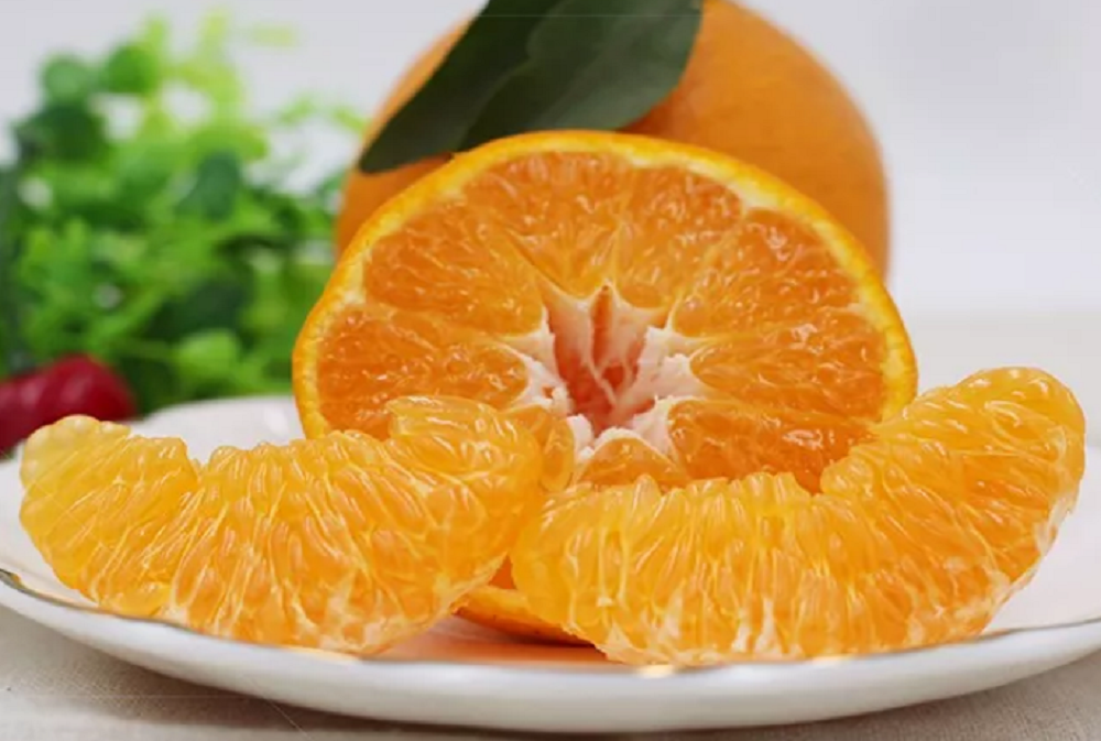 魏柑2號(hào)5.png 魏柑2號(hào)5.png