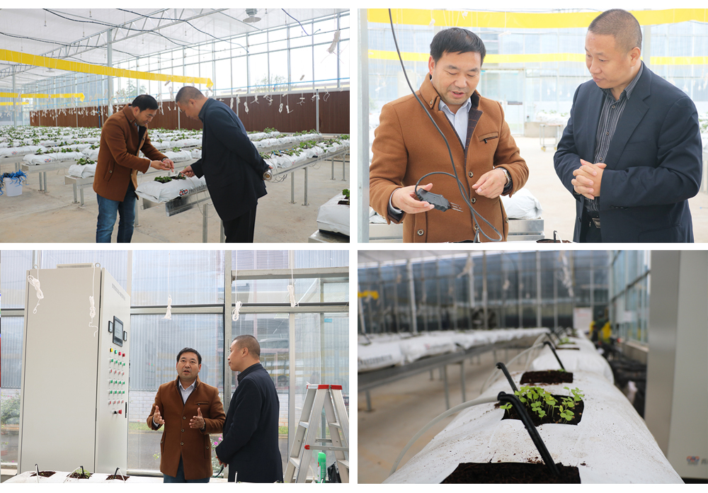 常偉書記視察(組合)3.jpg 常偉書記視察(組合)3.jpg