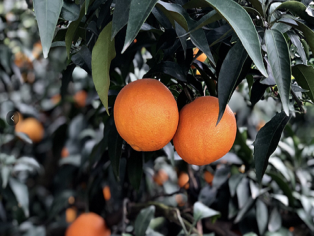 641 (1).png 641 (1).png