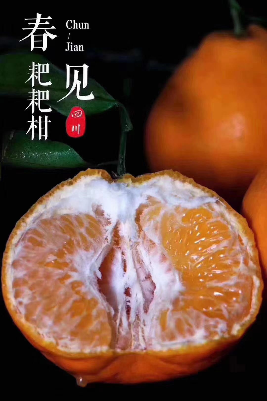 耙耙柑1.jpg 耙耙柑1.jpg